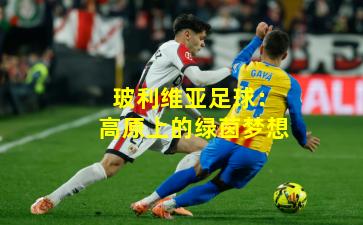 玻利维亚足球:高原上的绿茵梦想