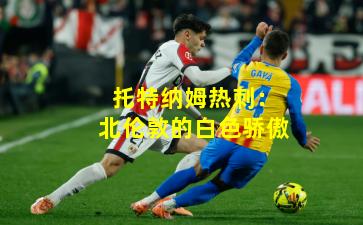 托特纳姆热刺：北伦敦的白色骄傲