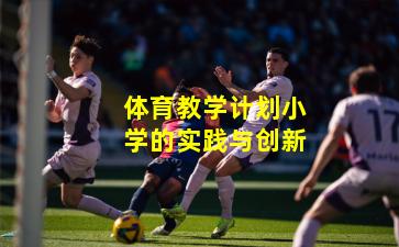 体育教学计划小学的实践与创新